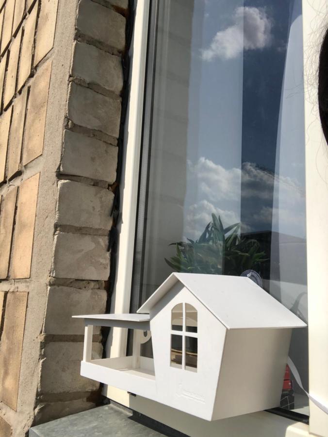 Birdie Home At Nauky Metro 哈尔科夫 外观 照片